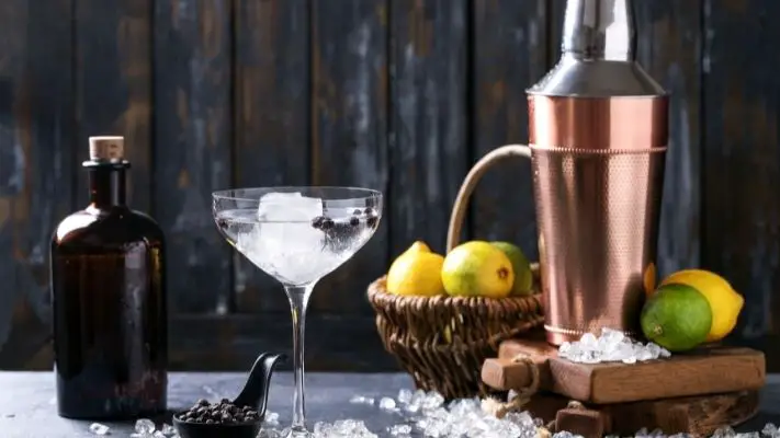 Can You Make a Gin Fizz with Tonic?