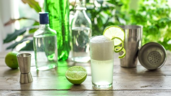 Gin Fizz Recipe Without Egg White