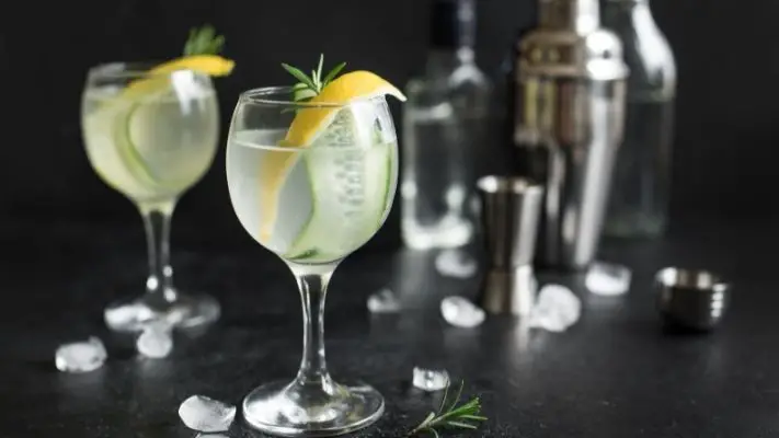 How Long Should You Shake For a Perfect Gin Fizz