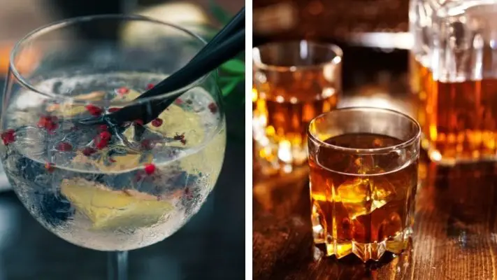 The Differences Between Gin and Bourbon