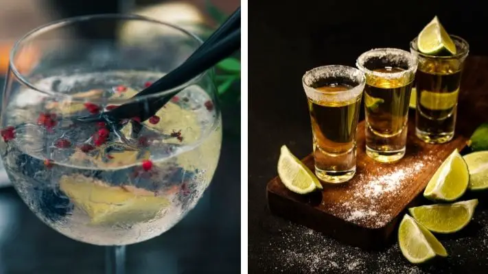 The Differences Between Gin and Tequila