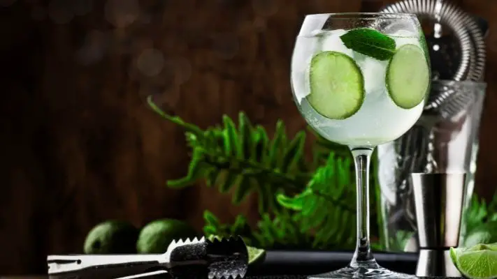 Do Gin And Tonic Make You Drunk?